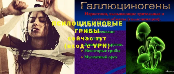 мяу мяу мука Арсеньев