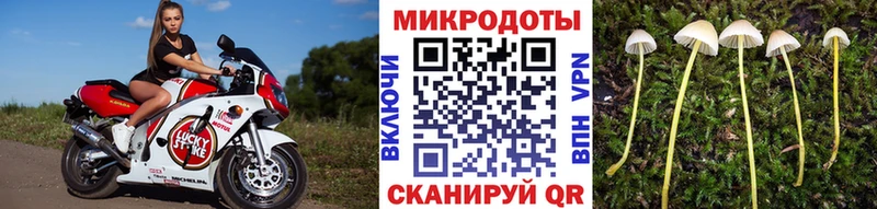 darknet наркотические препараты  Октябрьск  Галлюциногенные грибы Magic Shrooms  где купить наркоту 